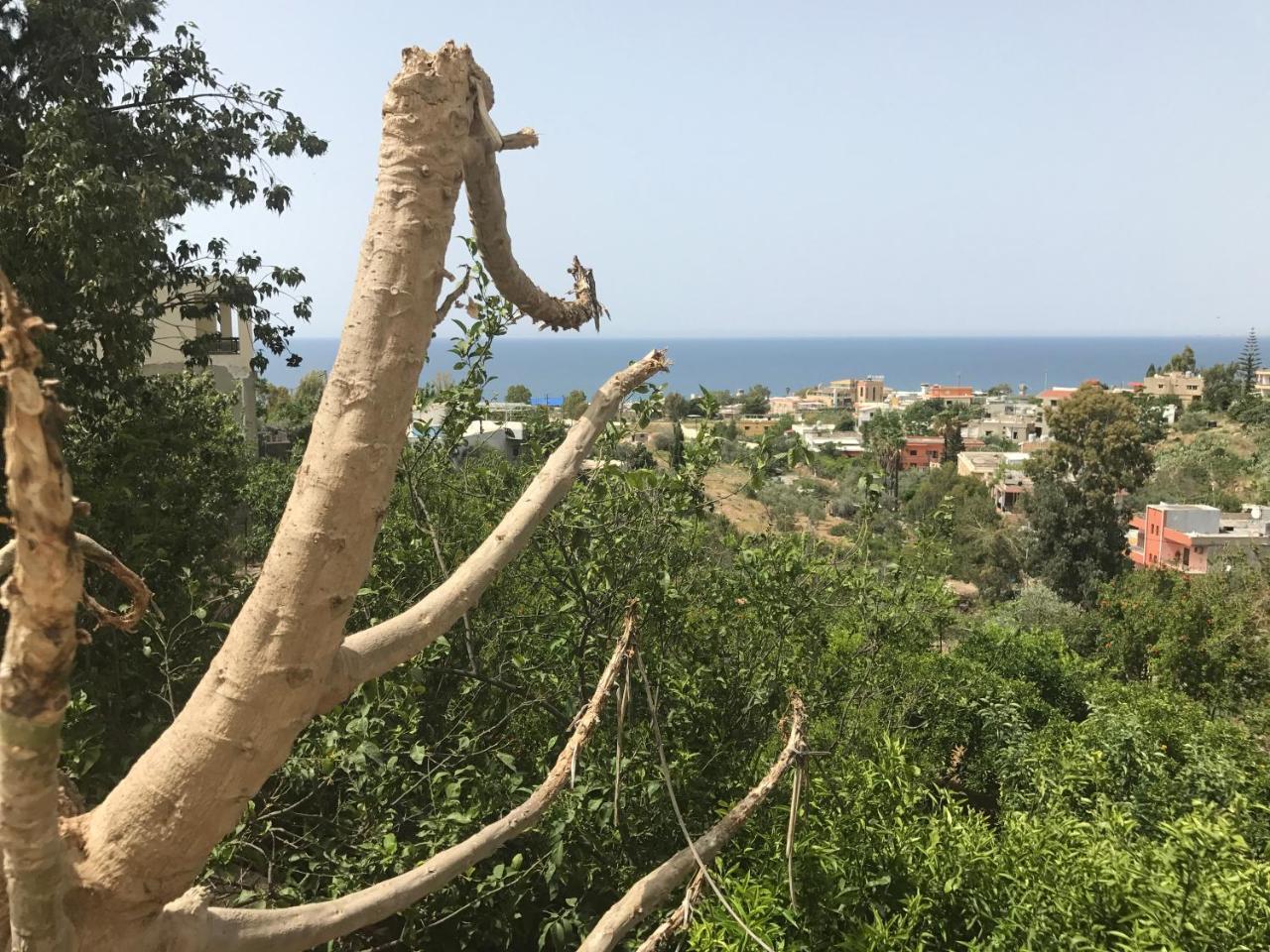 Luna Motel Naqoura Exterior photo